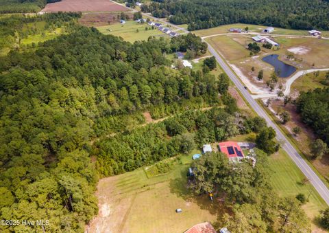 Tiny photo for 0 Nine Mile Road, Maple Hill, NC 28454 (MLS # 100530028)