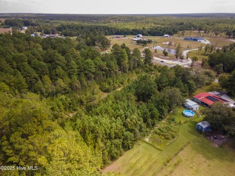 Tiny photo for 0 Nine Mile Road, Maple Hill, NC 28454 (MLS # 100530028)