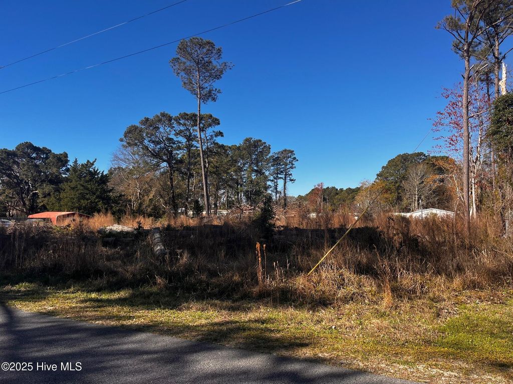 Photo of 3747 Palm Street SE, Bolivia, NC 28422 (MLS # 100497296)