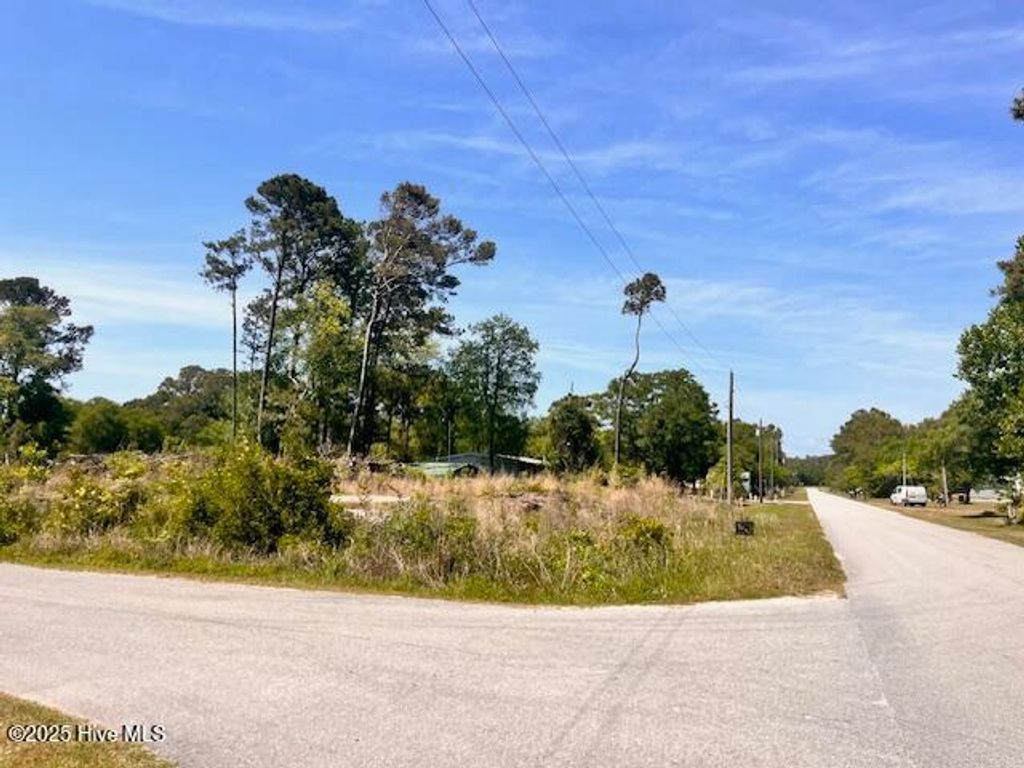 Photo of 3747 Palm Street SE, Bolivia, NC 28422 (MLS # 100497296)