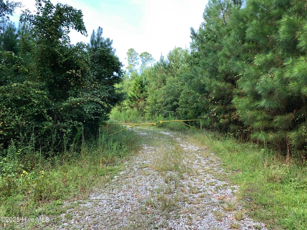 Photo of 0 Off Plantation Rd, Trenton, NC 28585 (MLS # 100543403)