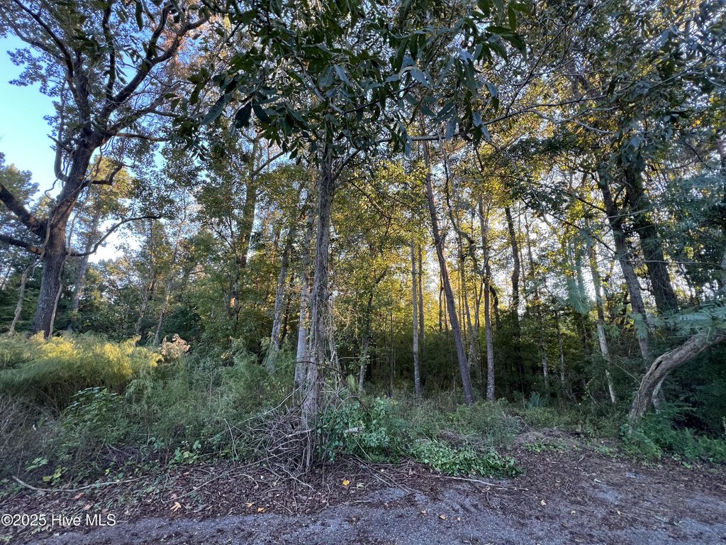 Photo of 640 Quinn Drive, Wilmington, NC 28411 (MLS # 100537151)