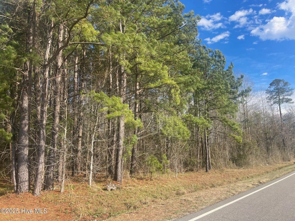Photo of 7775 Seven Creeks Highway, Nakina, NC 28455 (MLS # 100535837)