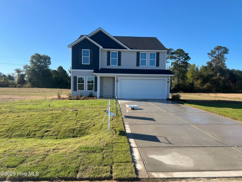 Photo of 221 Buggy Top Lane, Autryville, NC 28318 (MLS # 100539917)