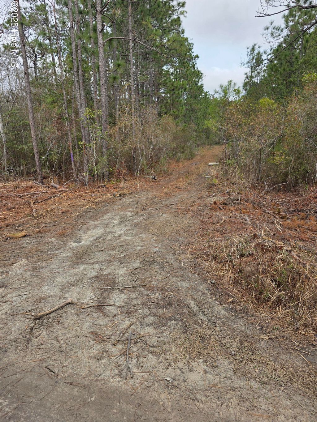 Photo of 1253 N Bobwhite Lane SE, Southport, NC 28461 (MLS # 100543760)