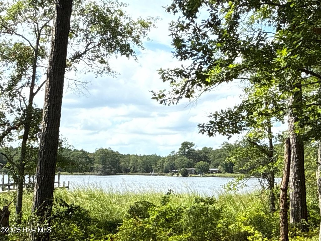 Photo of 104 Sunshine Drive, Arapahoe, NC 28510 (MLS # 100523386)