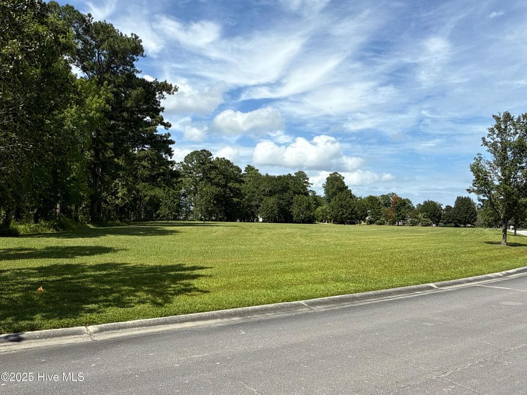 Photo of 104 Sunshine Drive, Arapahoe, NC 28510 (MLS # 100523386)