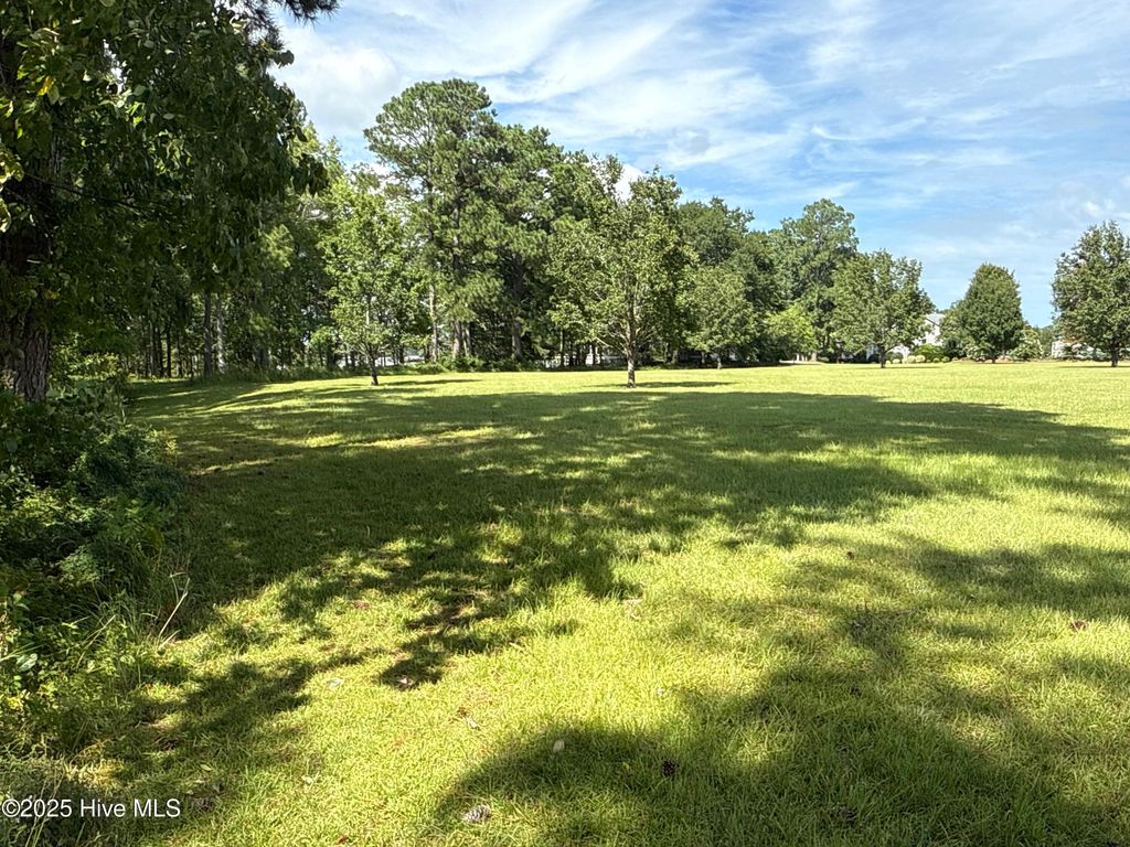 Photo of 104 Sunshine Drive, Arapahoe, NC 28510 (MLS # 100523386)