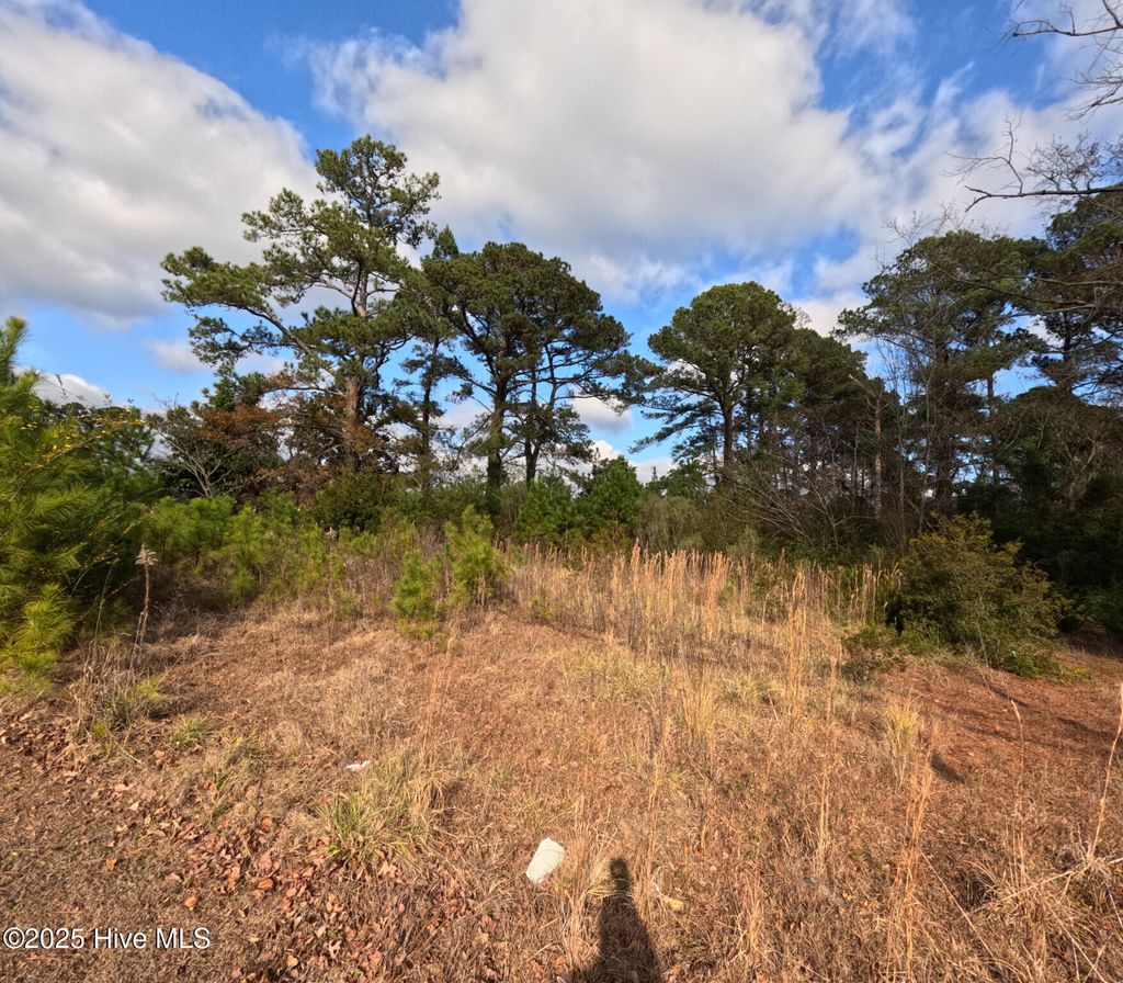 Photo of 267 Piney Green Road, Jacksonville, NC 28546 (MLS # 100491650)