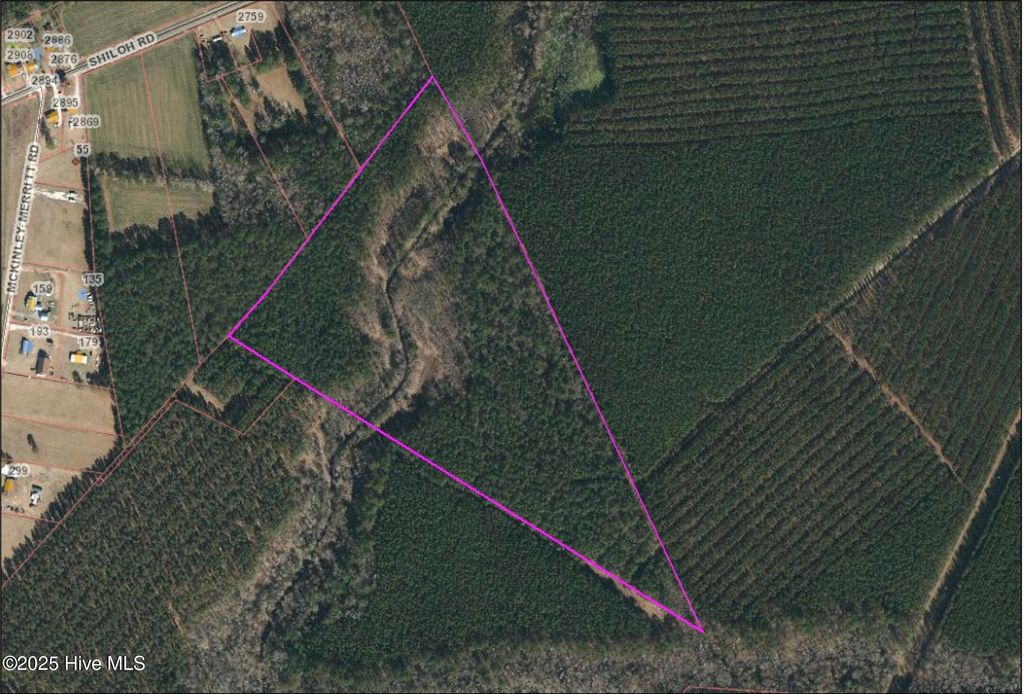 Photo of 0 Shiloh Road, Willard, NC 28478 (MLS # 100518868)