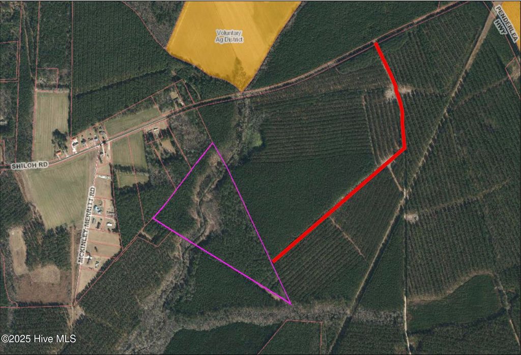 Photo of 0 Shiloh Road, Willard, NC 28478 (MLS # 100518868)