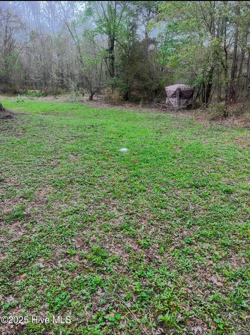 Photo of 0 Shiloh Road, Willard, NC 28478 (MLS # 100518868)