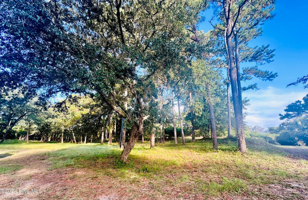 Photo of 4008 Barnes Bluff Drive SE, Southport, NC 28461 (MLS # 100473941)