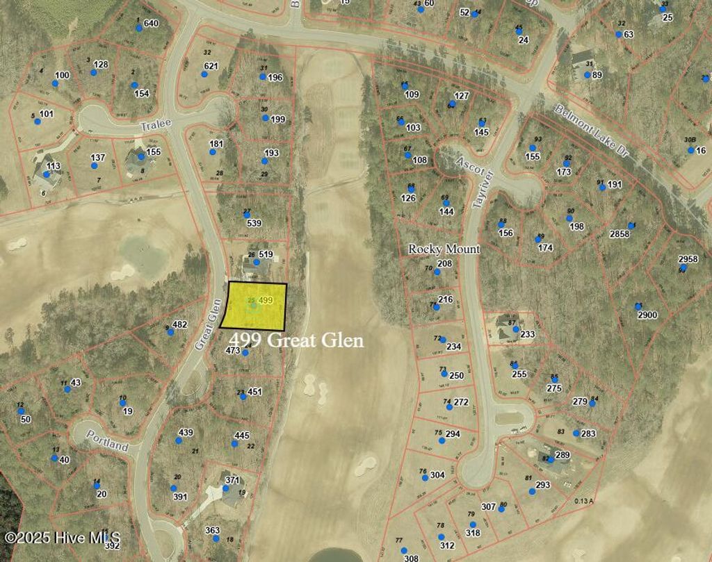 Photo of 499 Great Glen, Rocky Mount, NC 27804 (MLS # 100493923)