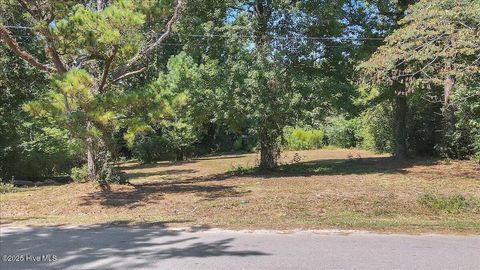 Tiny photo for 7005 Chewning Street, Wilmington, NC 28411 (MLS # 100531394)