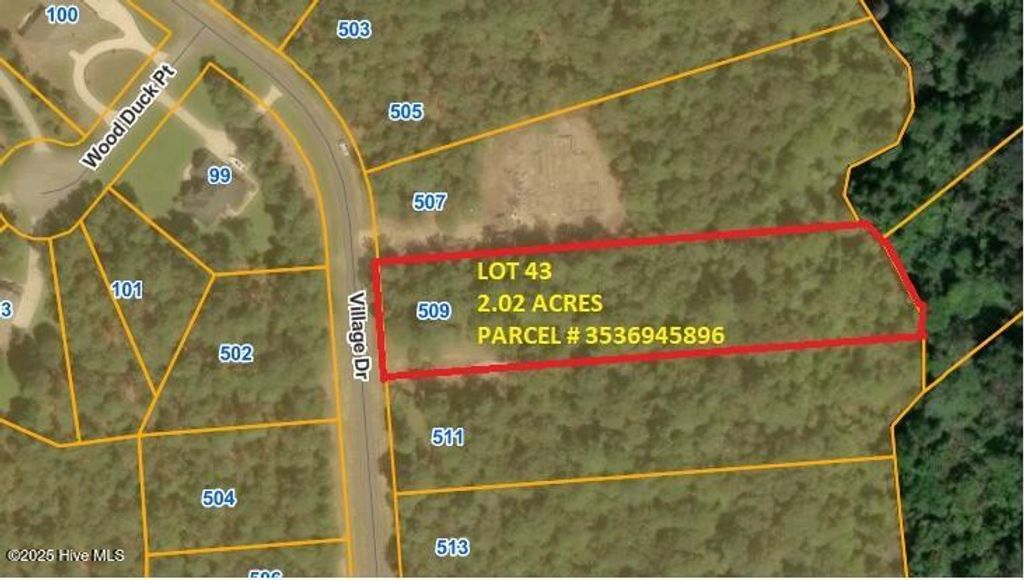 Photo of 509 Village Drive, Goldsboro, NC 27534 (MLS # 100531987)