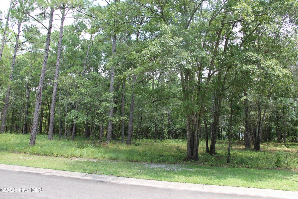Photo of 469 Shiloh Lane SE, Bolivia, NC 28422 (MLS # 100522404)