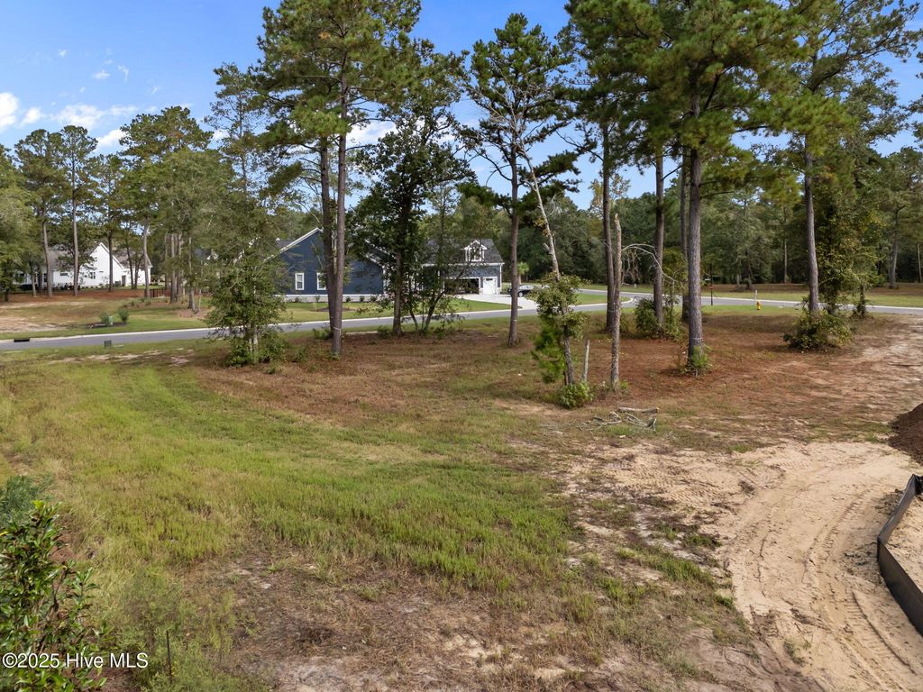 Photo of 3764 River Park Way NE, Leland, NC 28451 (MLS # 100534344)
