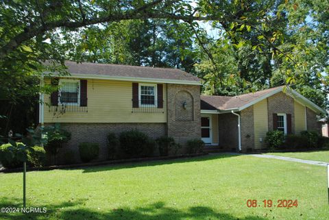 A home in Jacksonville