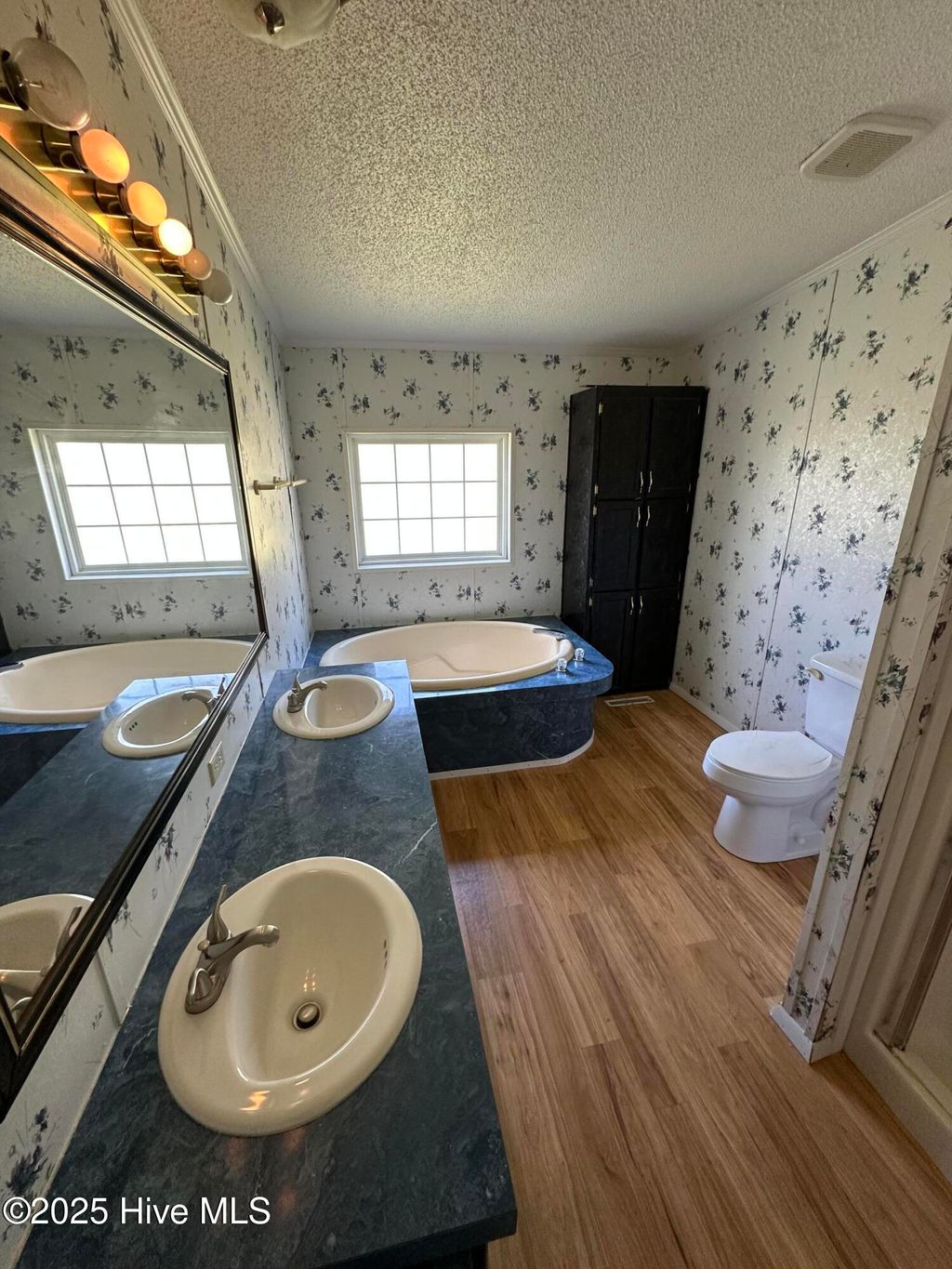 Photo of 1232 Mears Lane, Clarkton, NC 28433 (MLS # 100539066)