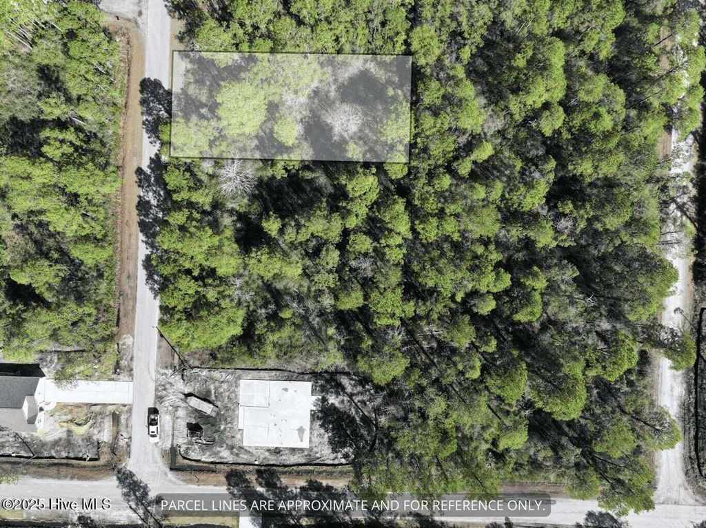 Photo of 130 Charlestown Road, Boiling Spring Lakes, NC 28461 (MLS # 100531234)