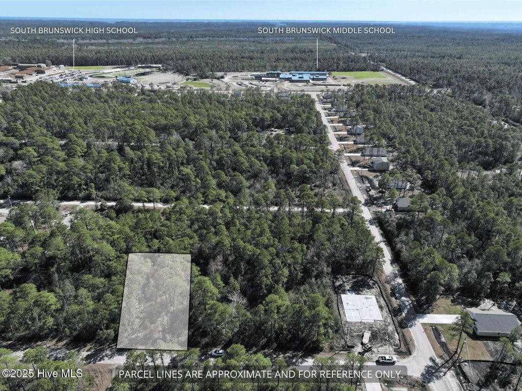Photo of 130 Charlestown Road, Boiling Spring Lakes, NC 28461 (MLS # 100531234)