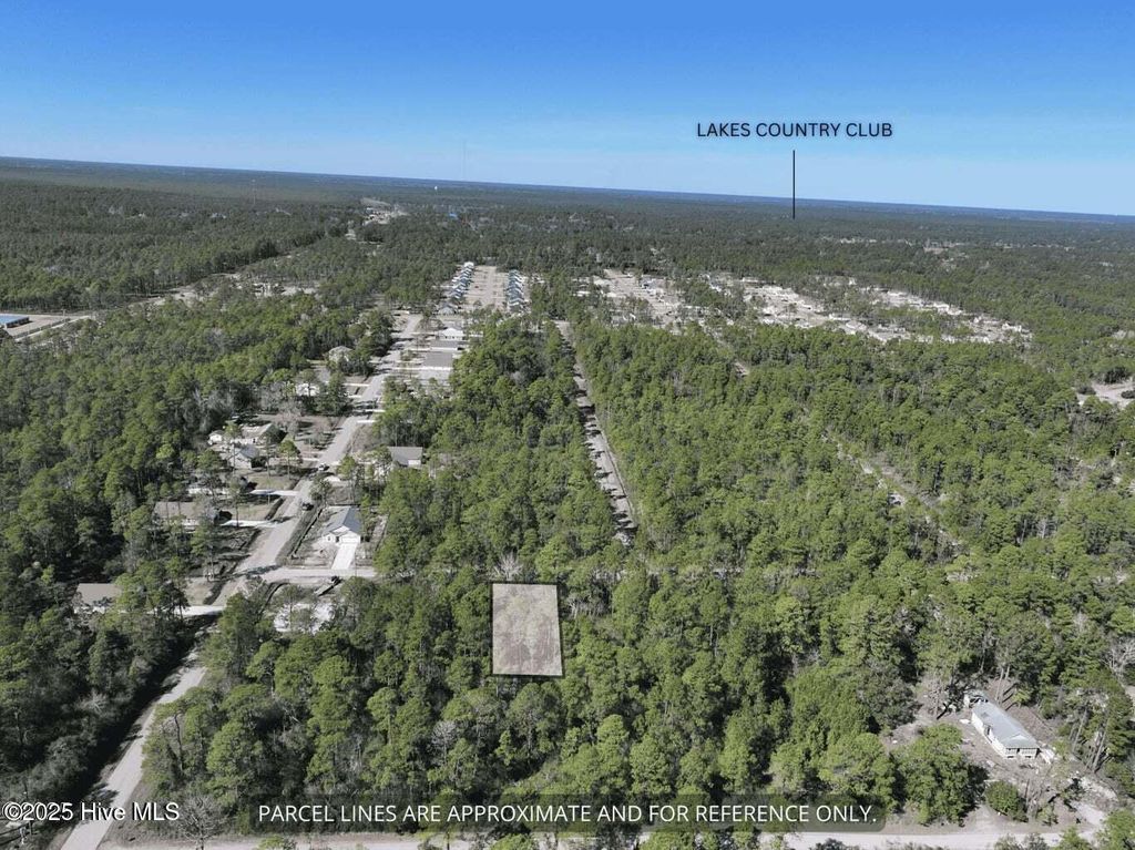 Photo of 130 Charlestown Road, Boiling Spring Lakes, NC 28461 (MLS # 100531234)