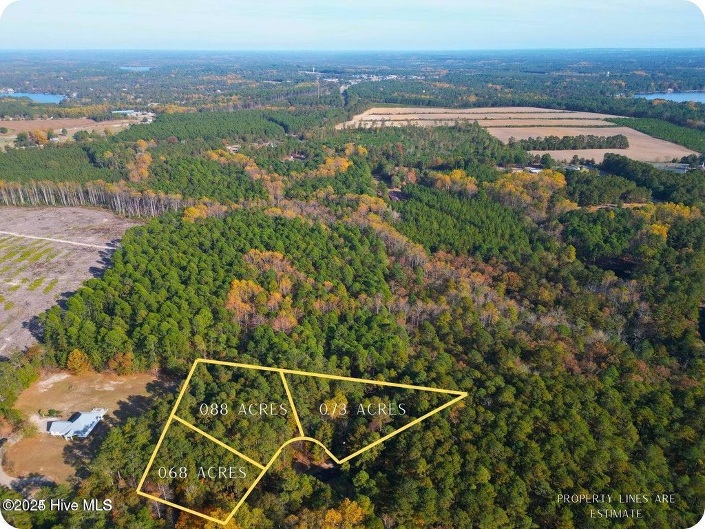 Photo of 151 Cobblestone Place, West End, NC 27376 (MLS # 100531981)