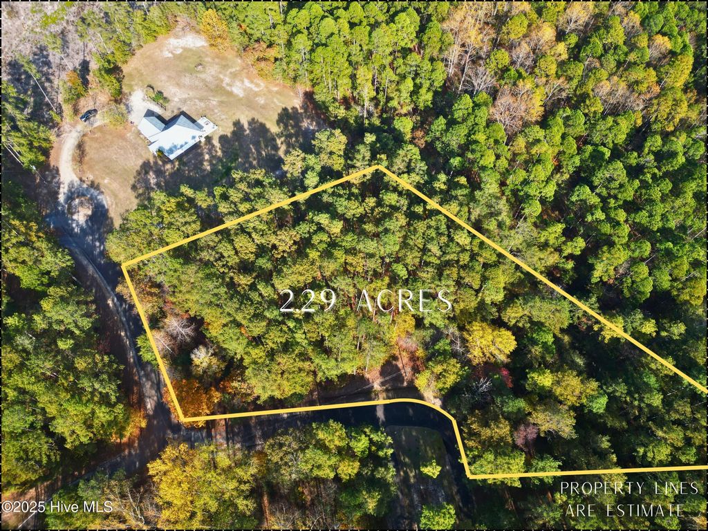 Photo of 151 Cobblestone Place, West End, NC 27376 (MLS # 100531981)