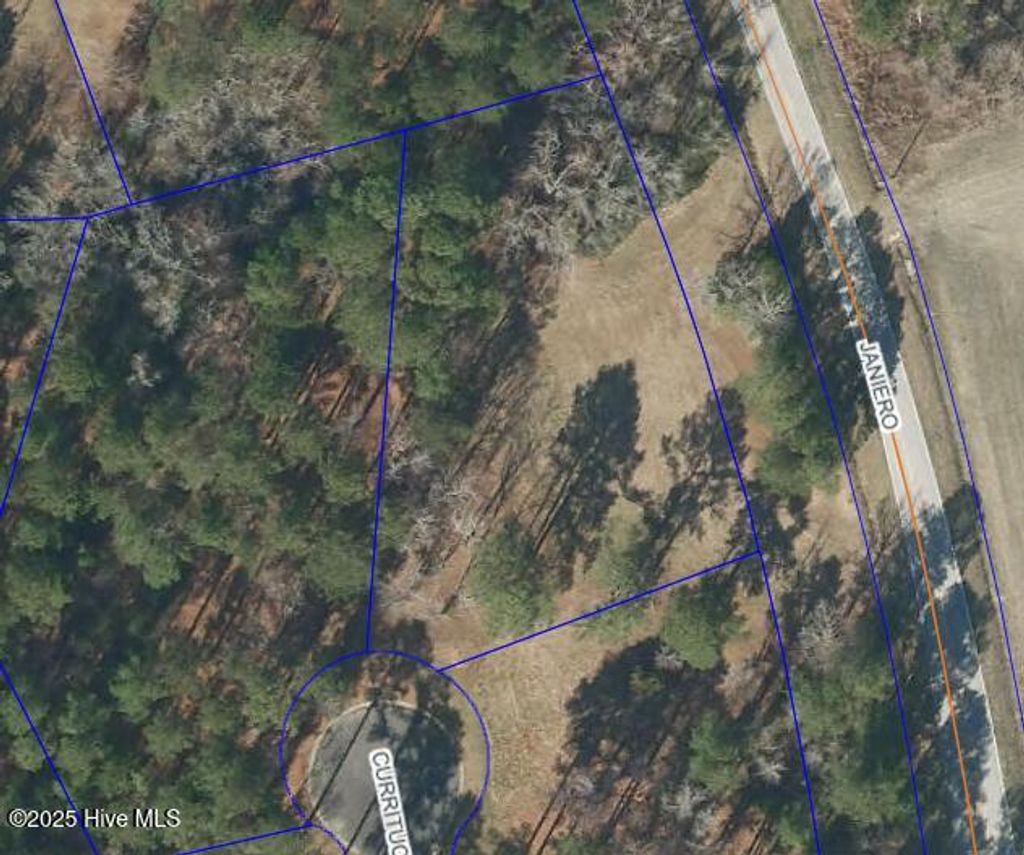 Photo of 62 Currituck Court, Oriental, NC 28571 (MLS # 100544370)