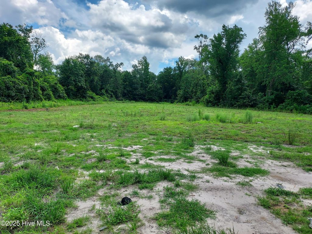 Photo of 646 Bright Harvest Drive, Maysville, NC 28555 (MLS # 100522813)