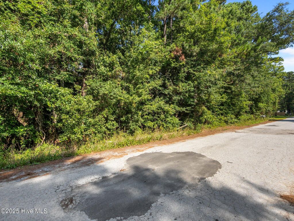 Photo of 107 Seahorse Drive, Beaufort, NC 28516 (MLS # 100516697)