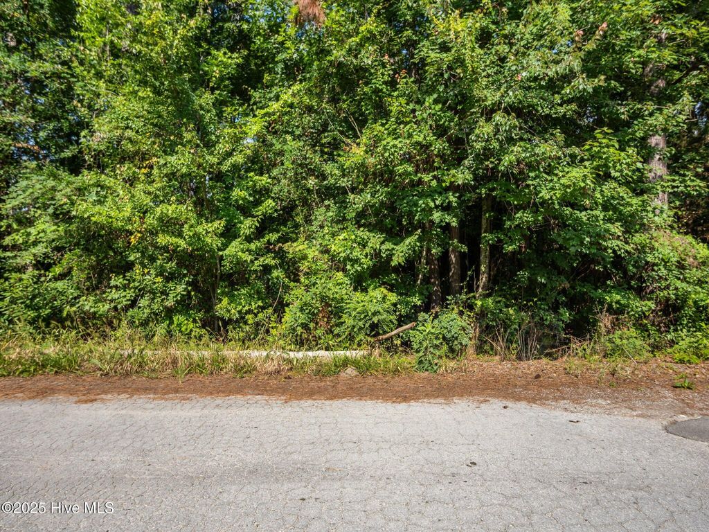 Photo of 107 Seahorse Drive, Beaufort, NC 28516 (MLS # 100516697)