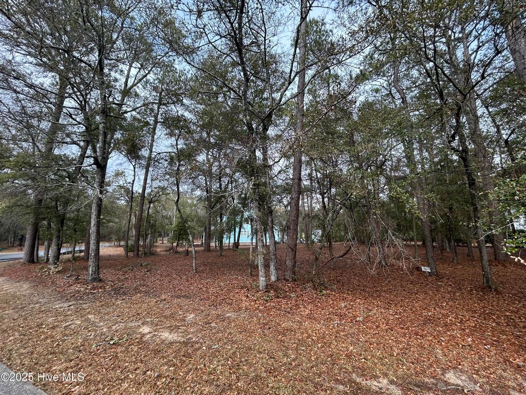Photo of 3468 Concordia Avenue SW, Supply, NC 28462 (MLS # 100493964)