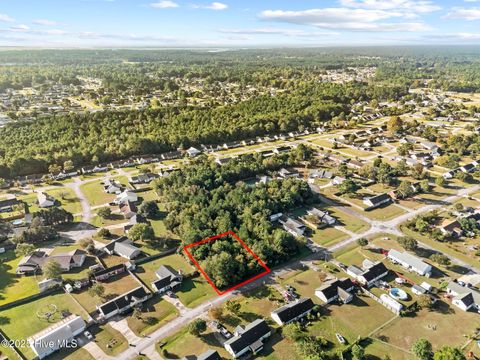 Tiny photo for 406 Foxtrace Lane, Hubert, NC 28539 (MLS # 100534840)