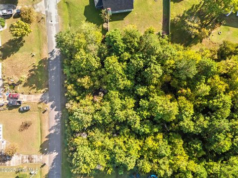 Tiny photo for 406 Foxtrace Lane, Hubert, NC 28539 (MLS # 100534840)