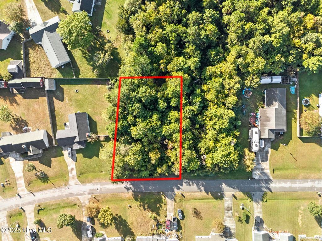Photo of 406 Foxtrace Lane, Hubert, NC 28539 (MLS # 100534840)