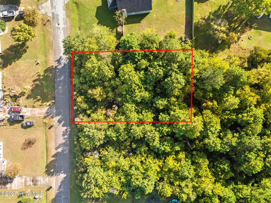 Photo of 406 Foxtrace Lane, Hubert, NC 28539 (MLS # 100534840)