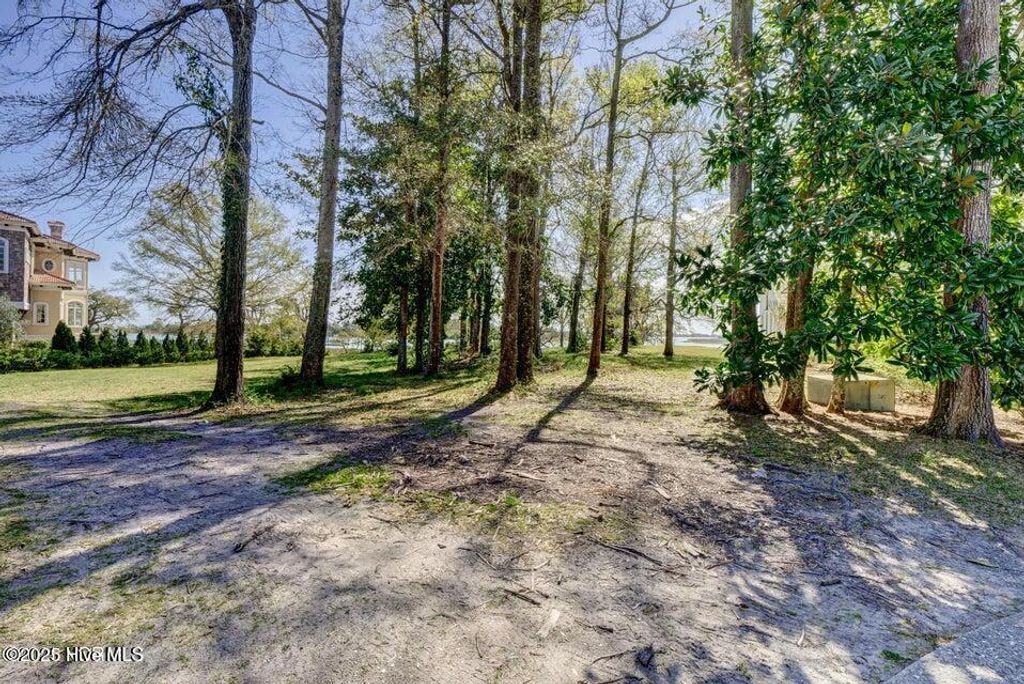 Photo of 1111 Pembroke Jones Drive, Wilmington, NC 28405 (MLS # 100485519)
