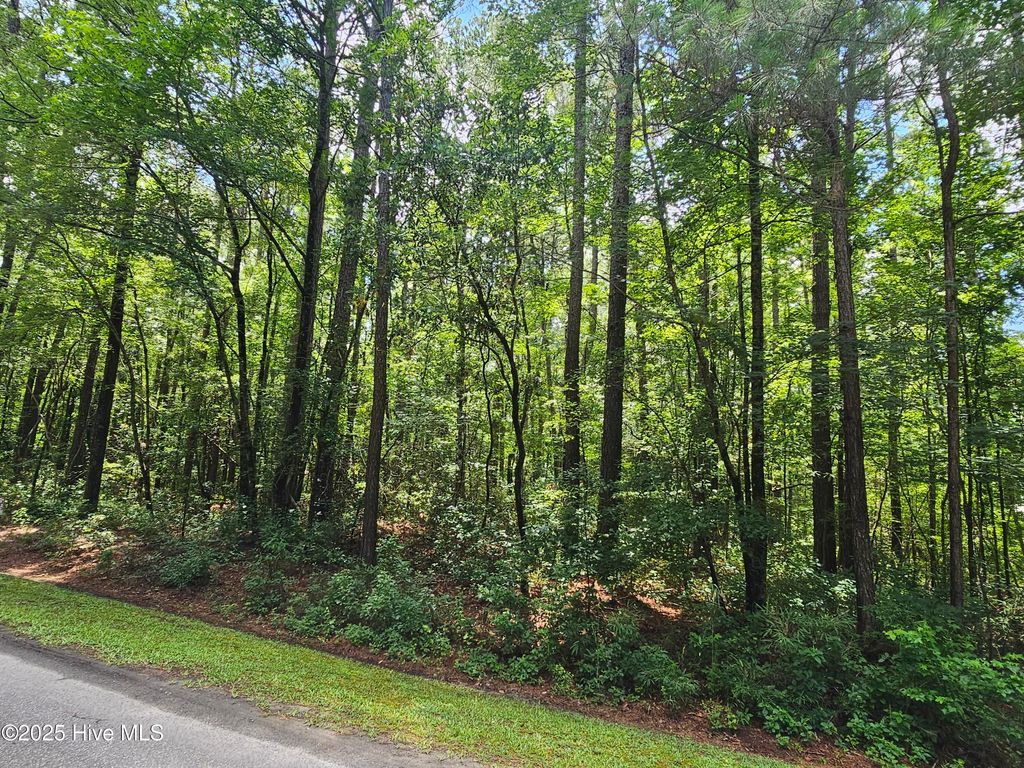 Photo of 1429 Forest Acres Drive, Greenville, NC 27834 (MLS # 100514233)