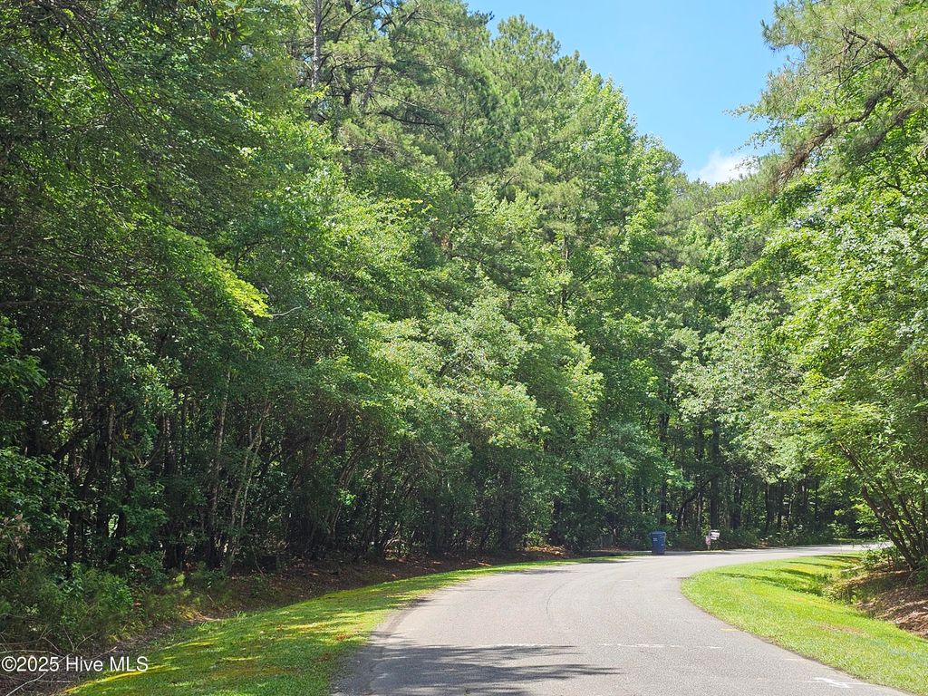 Photo of 1429 Forest Acres Drive, Greenville, NC 27834 (MLS # 100514233)