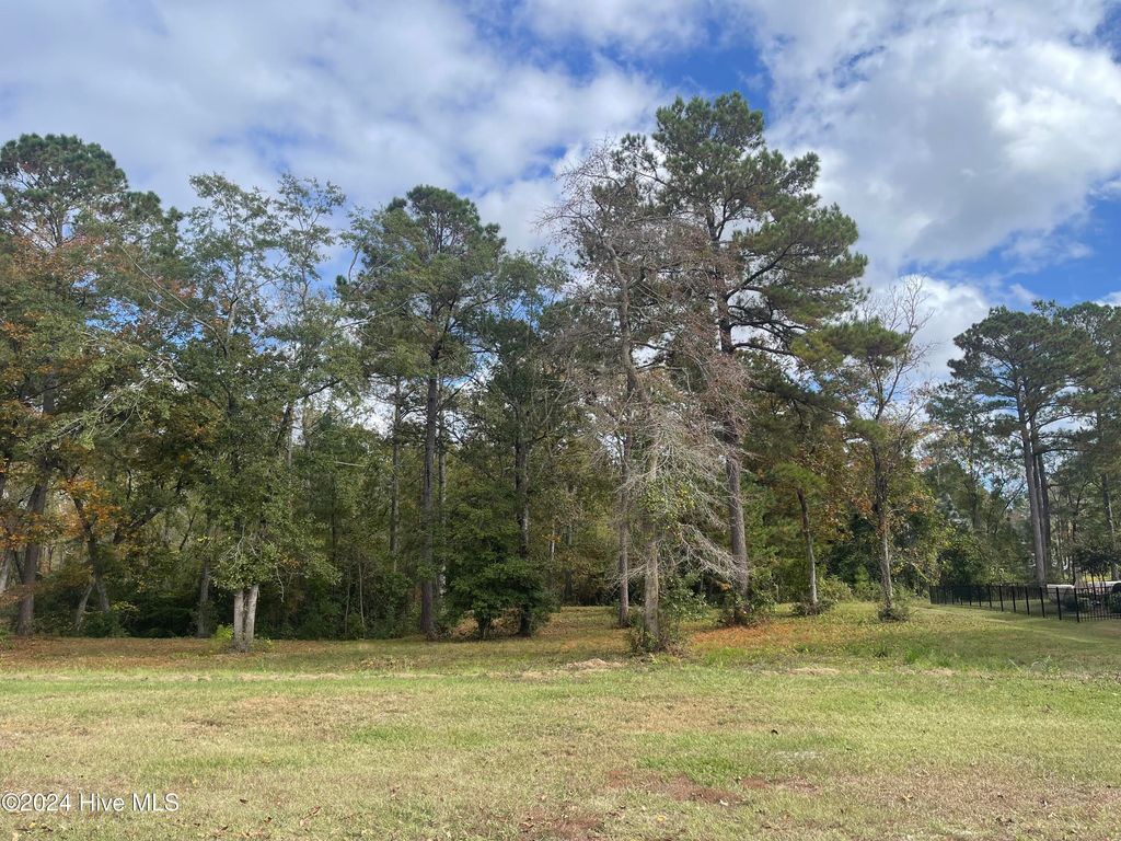 Photo of 3828 Crab Catcher Loop NE, Leland, NC 28451 (MLS # 100474418)