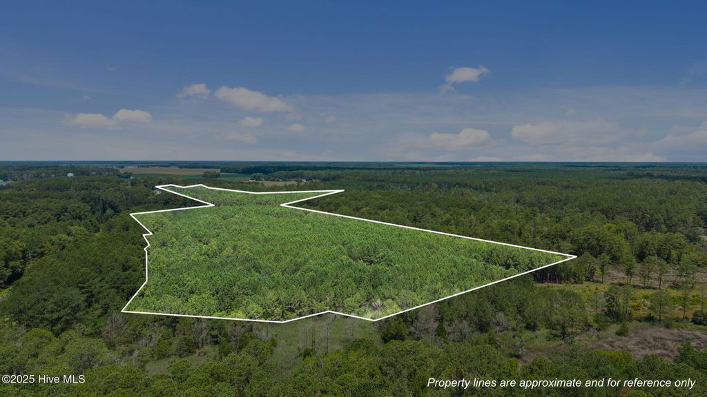 Photo of 0 White Farm Road, Oriental, NC 28571 (MLS # 100543715)