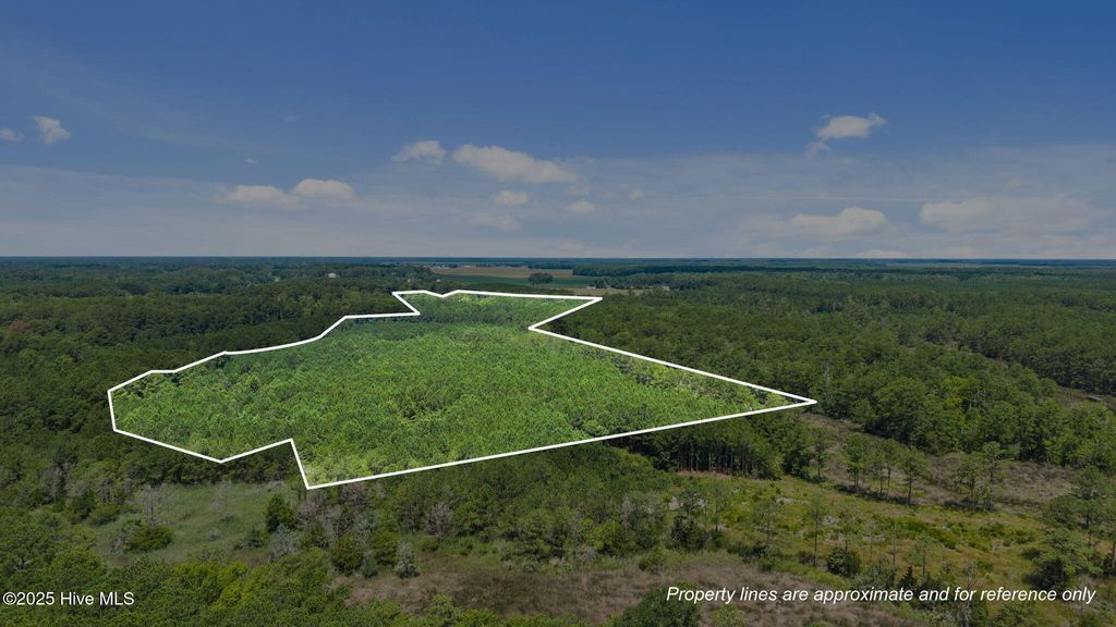 Photo of 0 White Farm Road, Oriental, NC 28571 (MLS # 100543715)