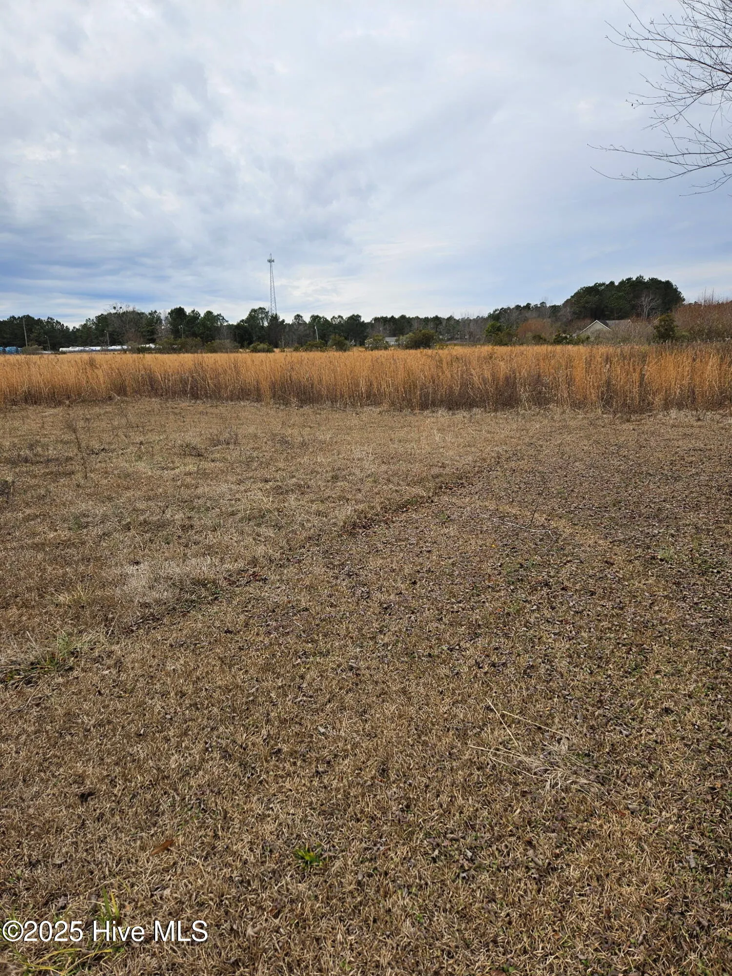 Rocky Point, North Carolina 28457, United States, ,Land,Pending,16138