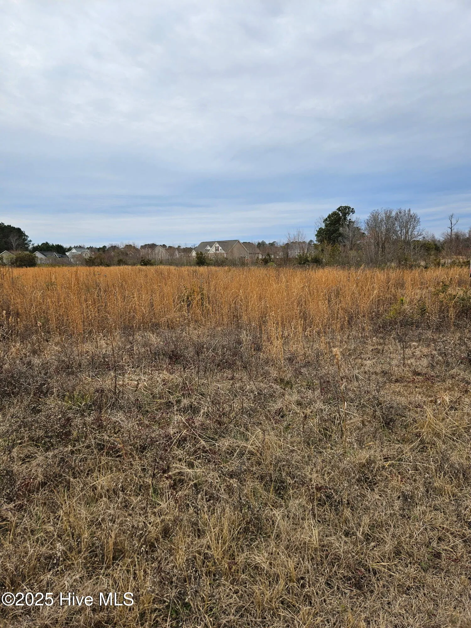 Rocky Point, North Carolina 28457, United States, ,Land,Pending,16138