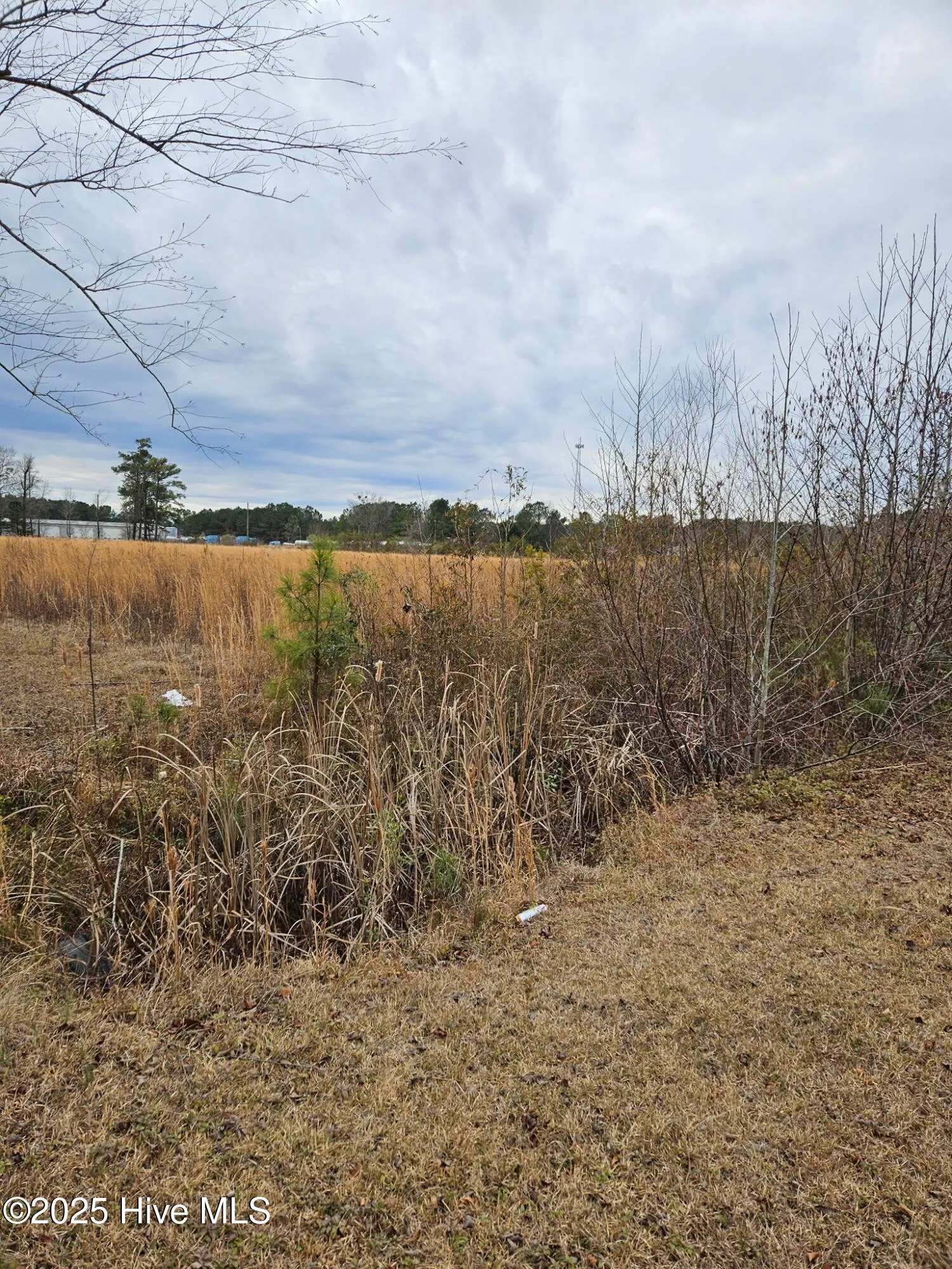 Rocky Point, North Carolina 28457, United States, ,Land,Pending,16138 Rocky Point, North Carolina 28457, United States, ,Land,Pending,16138