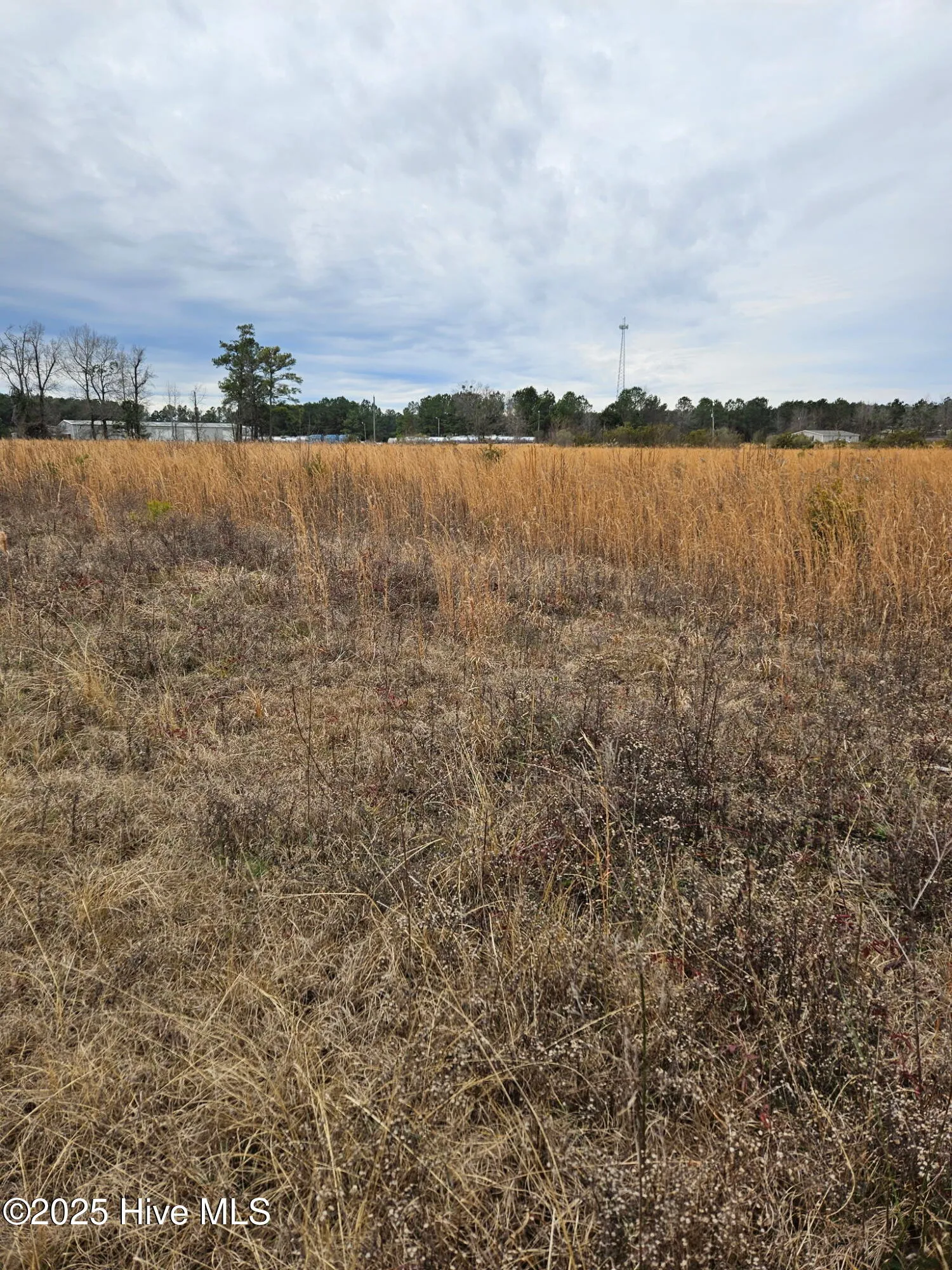 Rocky Point, North Carolina 28457, United States, ,Land,Pending,16138