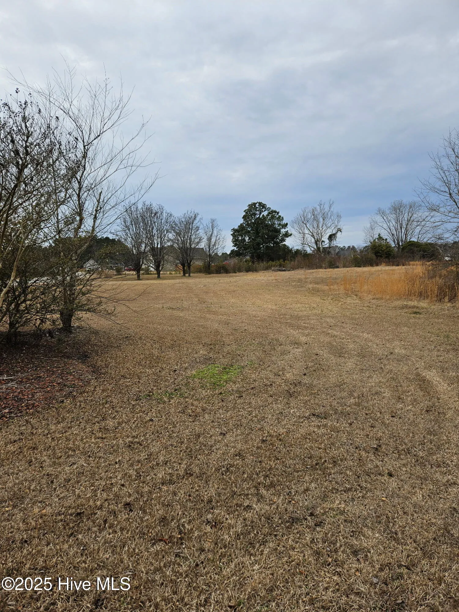 Rocky Point, North Carolina 28457, United States, ,Land,Pending,16138