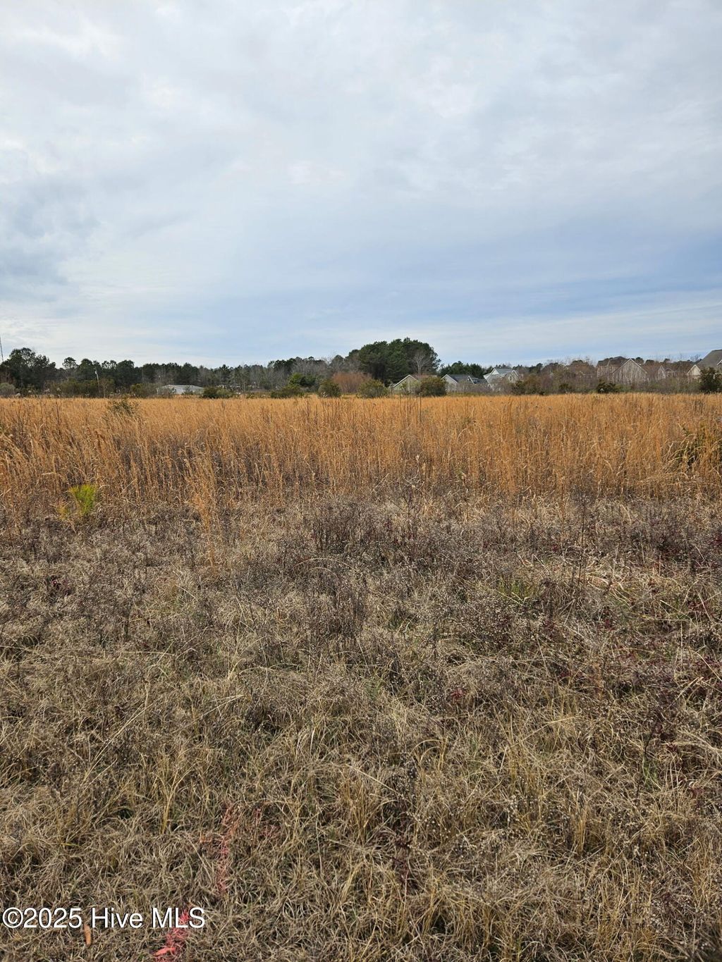 Photo of 000 Us-117, Rocky Point, NC 28457 (MLS # 100484740)